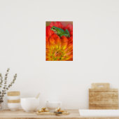 Pacifische boomkikker op bloemen in onze tuin, poster (Keuken)