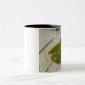 Pacifische boomkikker op bloemen in onze tuin, tweekleurige koffiemok (Center)