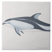 Pacifische dolfijn tegeltje (Voorkant)