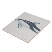 Pacifische dolfijn tegeltje (Zijkant)