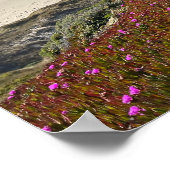 Pacifische kust poster (Hoek)