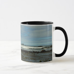 Pacifische kustlijn in het nationaal park Redwood Mok