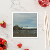 Pacifische kustlijn in het nationaal park Redwood Servet (Insitu)