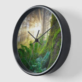 Pacifische kustwoud, Oregon (Hoek)