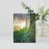 Pacifische kustwoud, Oregon Briefkaart (Staand voorkant)