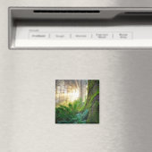 Pacifische kustwoud, Oregon Magneet (Insitu (Vaatwasser))