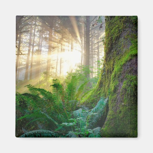 Pacifische kustwoud, Oregon Magneet (Voorkant)