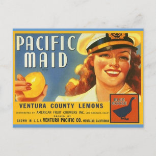 Pacifische Maïde Lemons Sailor Gal Briefkaarten