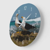 Pacifische meeuw vogel dier strand in paradijs grote klok (Hoek)