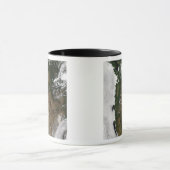 Pacifische noordwestelijke regio van de Verenigde  Mok (Midden)