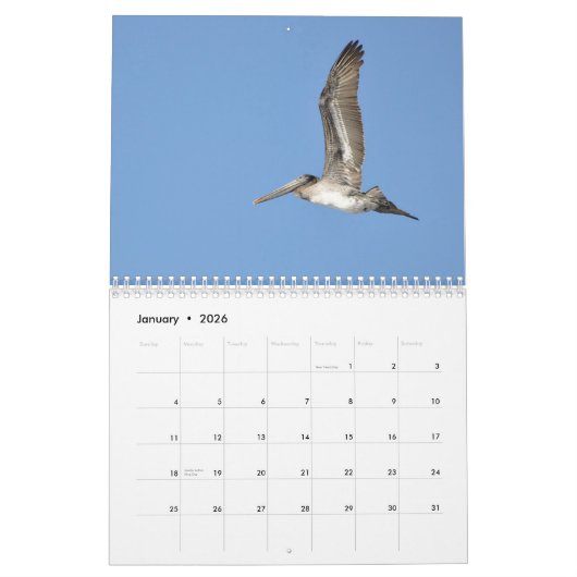 Pacifische noordwestelijke vogels kalender (Jan 2026)