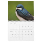 Pacifische noordwestelijke vogels kalender (Mar 2027)