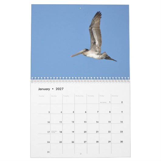 Pacifische noordwestelijke vogels kalender (Jan 2027)