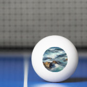 Pacifische oceaangolven pingpongbal (Net)