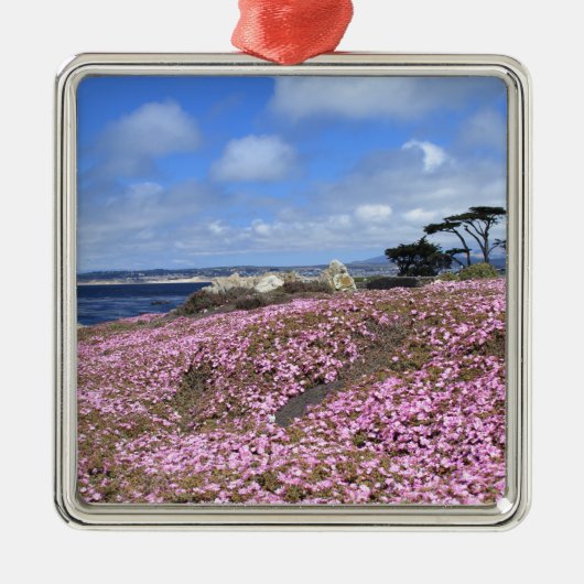 Pacifische Paars tapijt Metalen Ornament (Voorkant)