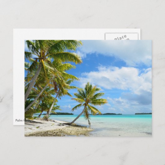 Pacifische palmstrand briefkaart (Voorkant / Achterkant)