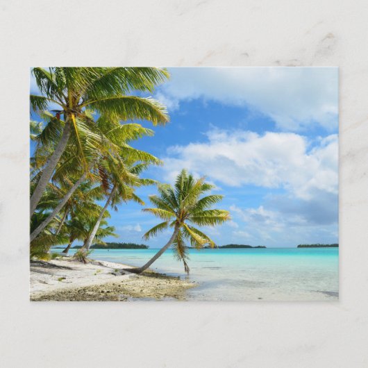 Pacifische palmstrand briefkaart (Voorkant)