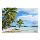 Pacifische palmstrand foto afdruk (Voorkant)