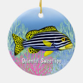 Pacifische riffen Oriental Sweetlips Ornament (Achterkant)