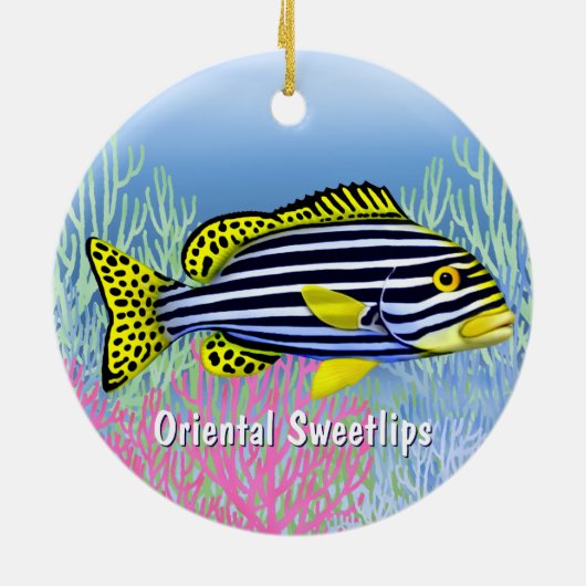 Pacifische riffen Oriental Sweetlips Ornament (Achterkant)