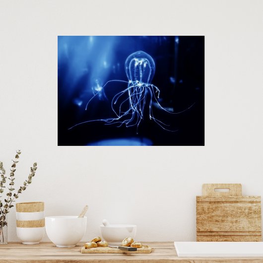 Pacifische vloervis poster (Keuken)