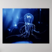 Pacifische vloervis poster (Voorkant)