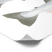 Pacifische zalm - Oceaanvaart en rustfase Poster (Hoek)