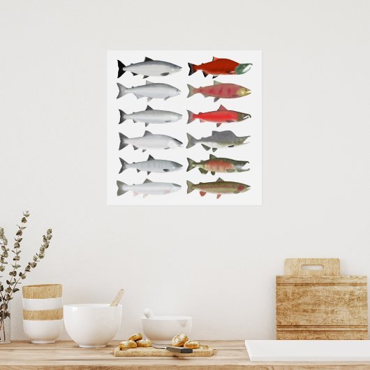 Pacifische zalm - Oceaanvaart en rustfase Poster (Keuken)