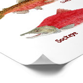 Pacifische zalmsoorten KunstPoster Poster (Hoek)