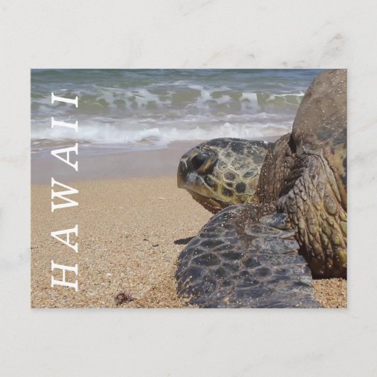 Pacifische Zee Kantschildpad Hawaii Briefkaart (Voorkant)