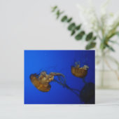 Pacifische Zee Nettle Jellyfish Briefkaart (Staand voorkant)