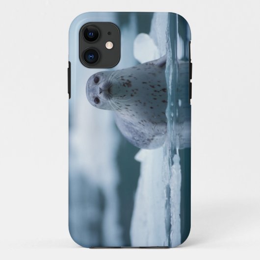 pacifische zeehond, Phoca vitulina richardsi Case-Mate iPhone Case (Achterkant)