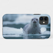 pacifische zeehond, Phoca vitulina richardsi Case-Mate iPhone Case (Achterkant (horizontaal))