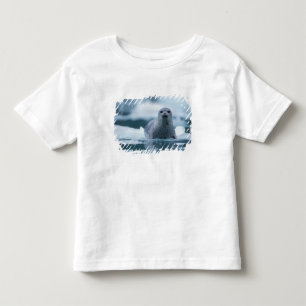 pacifische zeehond, Phoca vitulina richardsi Kinder Shirts