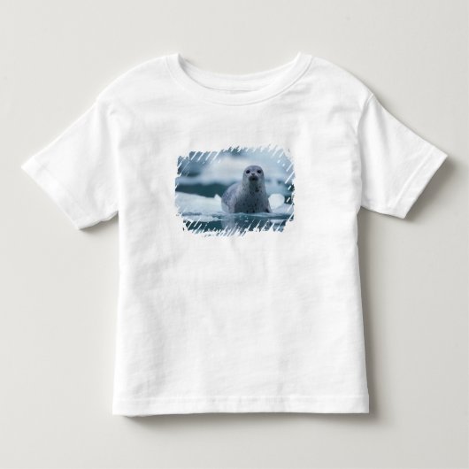 pacifische zeehond, Phoca vitulina richardsi Kinder Shirts (Voorkant)