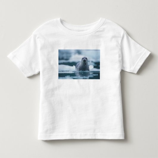 pacifische zeehond, Phoca vitulina richardsi Kinder Shirts (Voorkant)