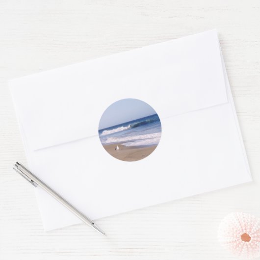 Pacifische zeemeeuw ronde sticker (Envelop)
