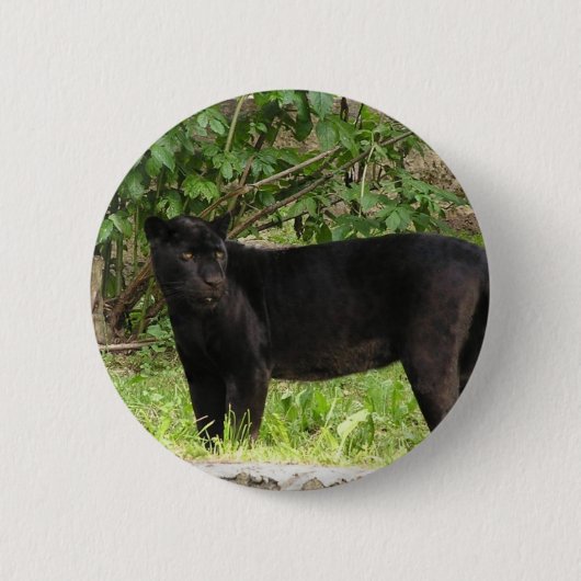 Pacing Panther Pin Ronde Button 5,7 Cm (Voorkant)