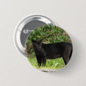 Pacing Panther Pin Ronde Button 5,7 Cm (Voorkant /achterkant)