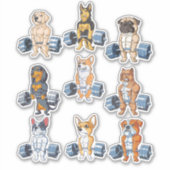 Pack 6 - Funny Gym Lover-pack Sticker (Voorkant)