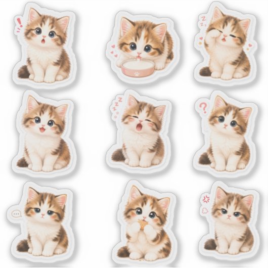Pack de Stickers Gatito Tierno y Expresivo (Voorkant)