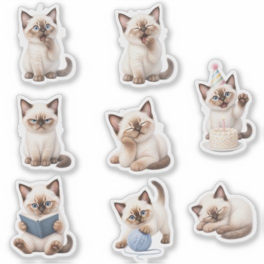 Pack de Stickers Gatito Tierno y Expresivo (Voorkant)