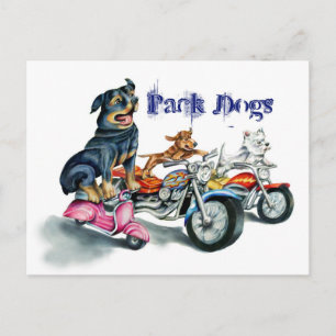 Pack Honden Briefkaart