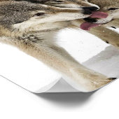 Pack of wolves poster (Hoek)