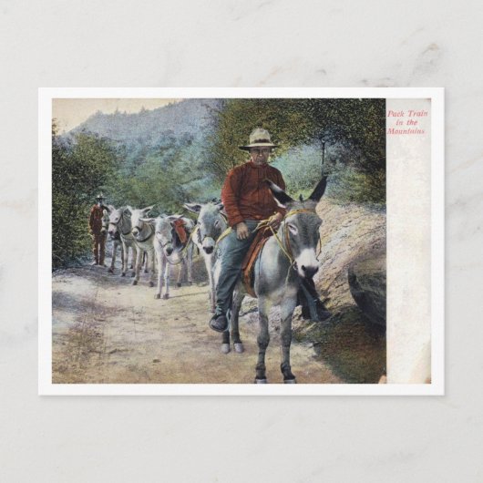 Pack Train in the Mountains Vintage Briefkaart (Voorkant)