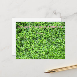 Packed with greenery briefkaart