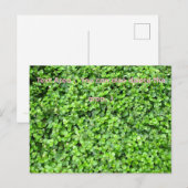 Packed with greenery briefkaart (Voorkant / Achterkant)