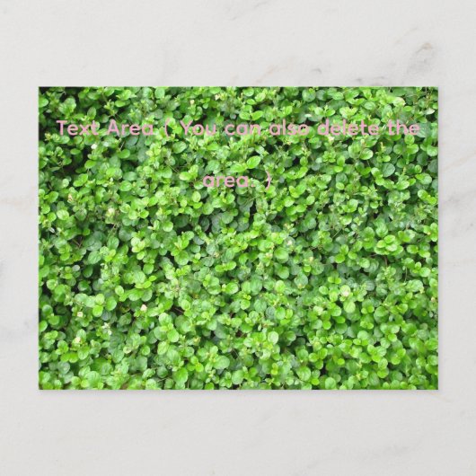 Packed with greenery briefkaart (Voorkant)
