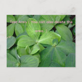 Packed with greenery briefkaart (Voorkant)
