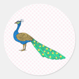 Packer Peacock Ronde Sticker